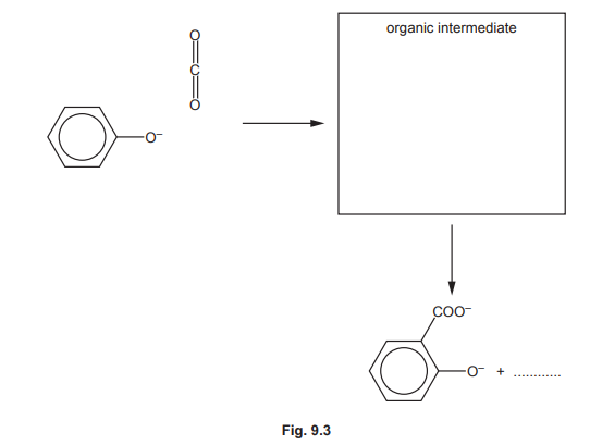 Mechanism for Phenoxide and CO₂