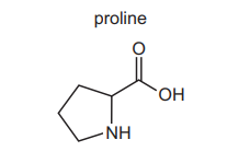 Proline Structure