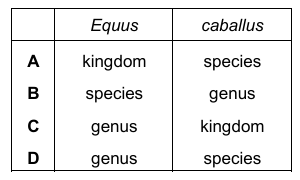 Binomial Nomenclature Options
