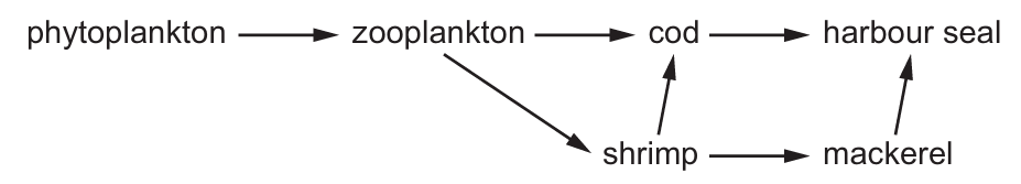 Marine Food Web Diagram