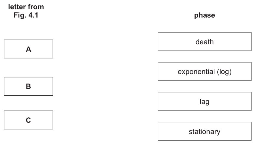 Graph Phases Matching