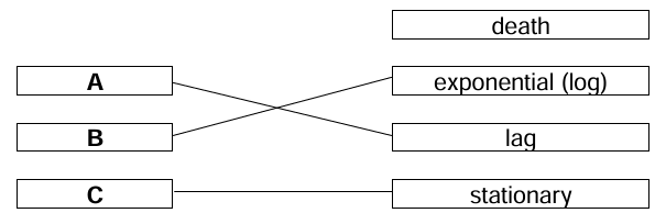 Graph Matching Solution