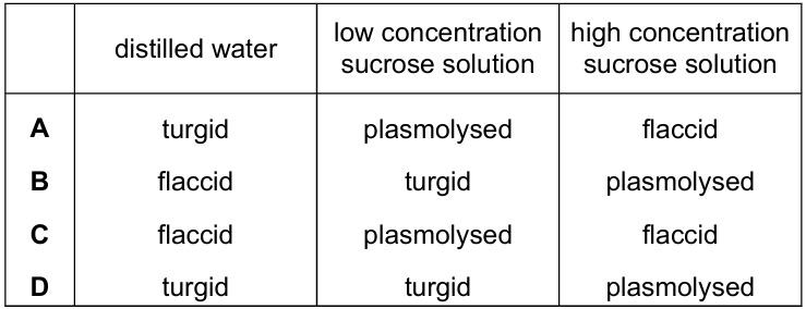 Osmosis Diagram