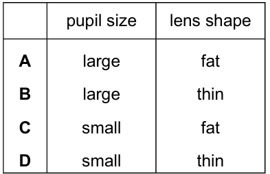 Eye Response Diagram