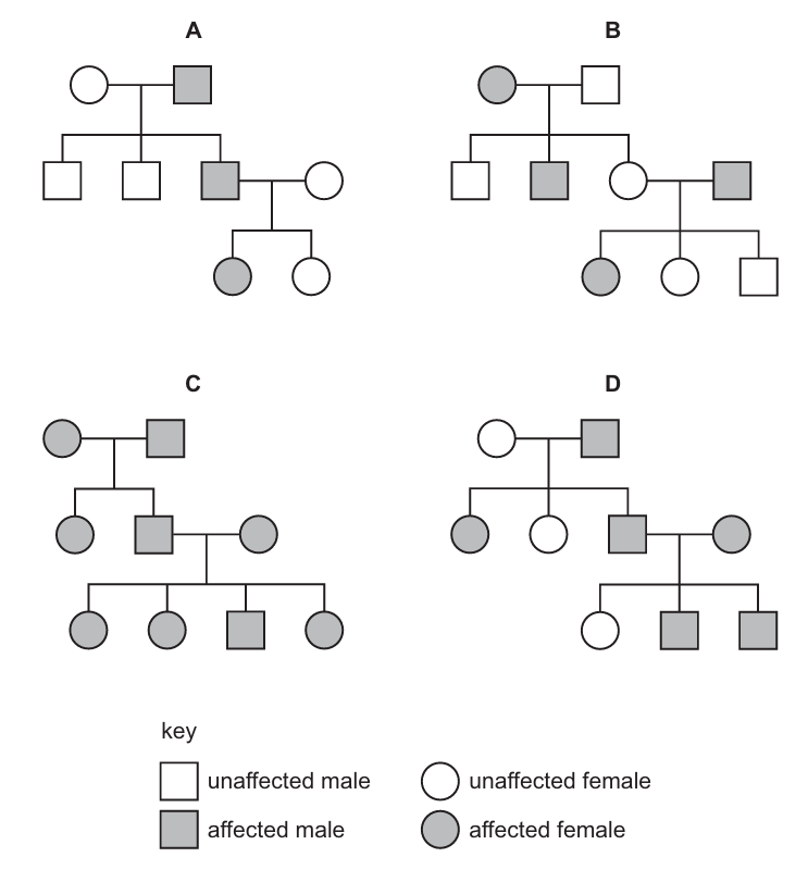 Pedigree Diagrams