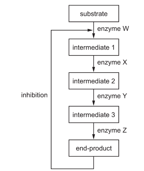 Metabolic pathway diagram