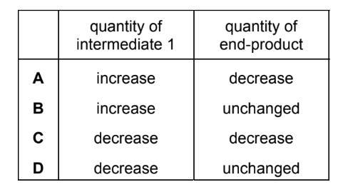 Options diagram