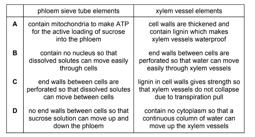 Comparison table of phloem and xylem