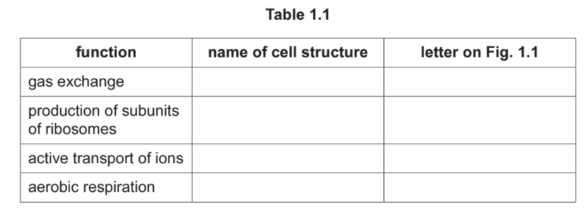 Table 1.1