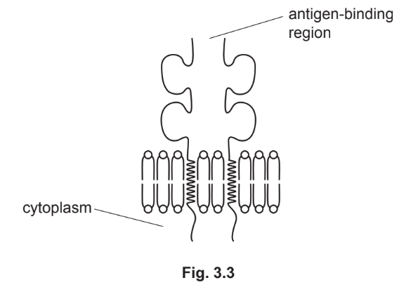 Macrophage membrane protein