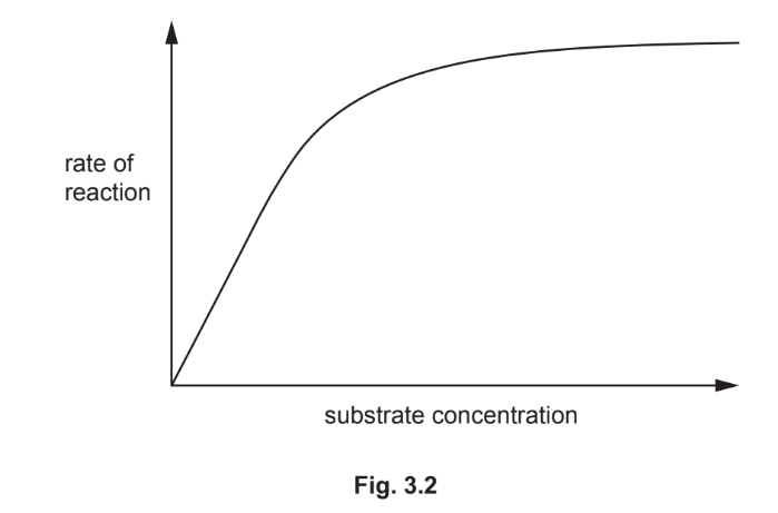 Enzyme reaction rate graph