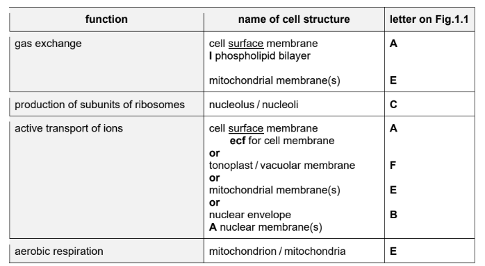 Answer to Table 1.1