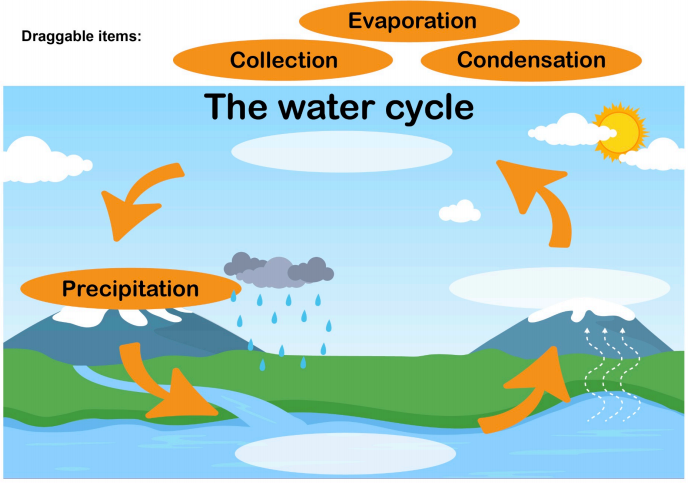 Water Cycle Diagram