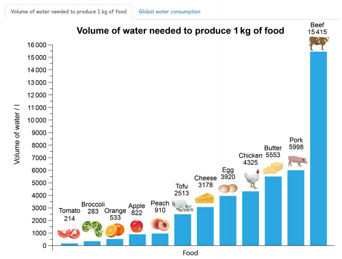 Human Impact on Water Cycle