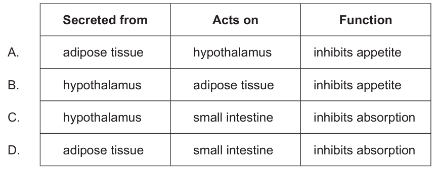 Leptin function diagram