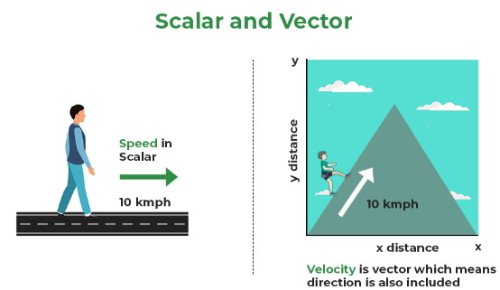 Scalar vs Vector Diagram