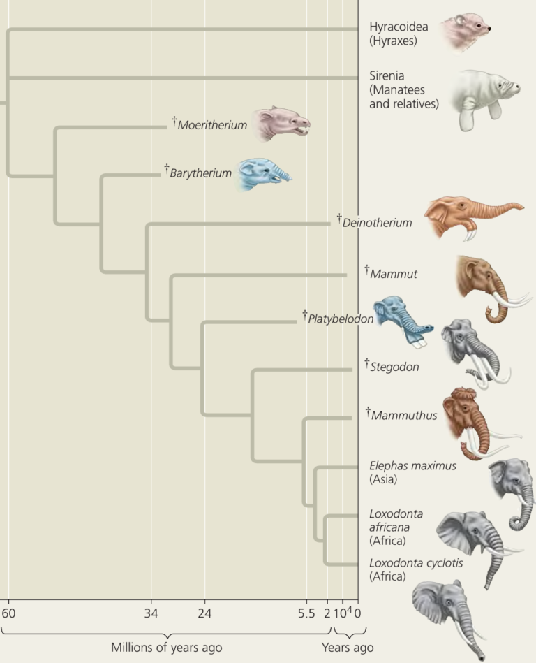 AP Biology 7.1 Introduction to Natural Selection Study Notes