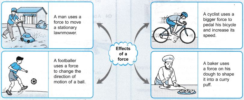 CIE IGCSE Physics (0625) Effects of forces Study Notes