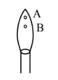 Borax bead flame diagram