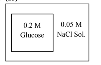 Q87 Solution calculation and schematic