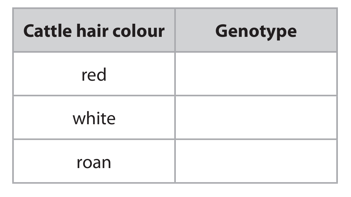 Table for cattle genotypes