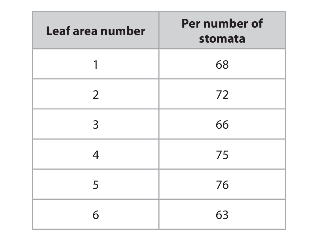 Stomata count table