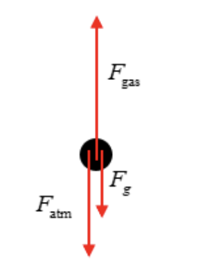 Free body diagram of piston