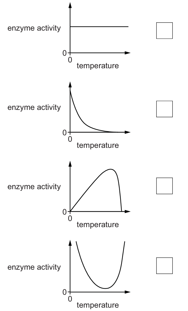 Graphs showing effect of temperature on enzyme activity