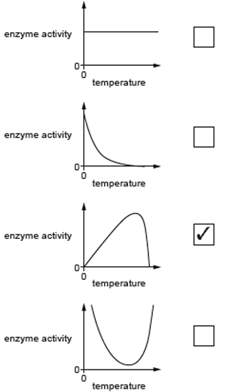 Correct graph — Graph A